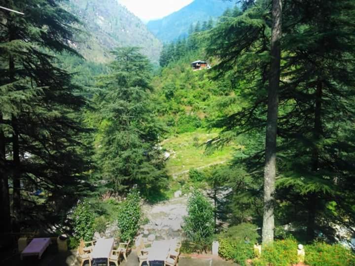 Hotel Deep Forest Kasol Dış mekan fotoğraf